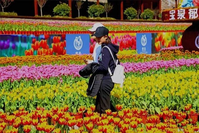 w66利来最给利的老牌铝业铝板厂家组织员工宝泉游玩